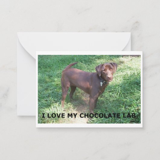 LR chocolade labrador liefde met foto Notitiekaartje (Voorkant)