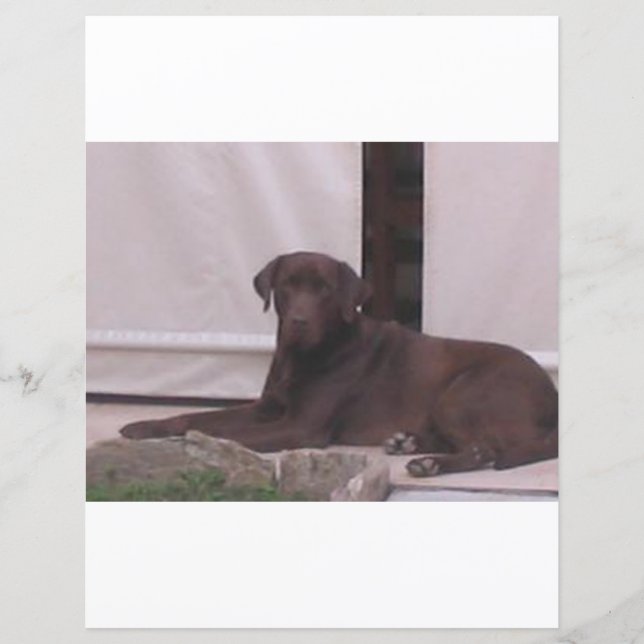 LR-chocoladelab (Voorkant)