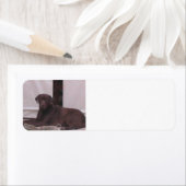 LR-chocoladelab Etiket (Insitu)