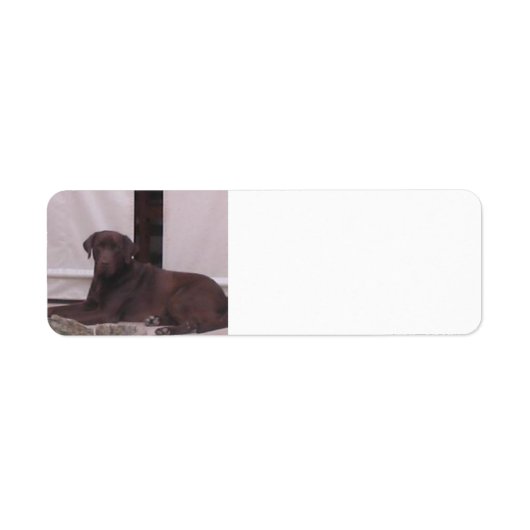 LR-chocoladelab Etiket (Voorkant)