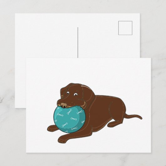 LR chocoladelab kauwballon cartoon Briefkaart (Voorkant / Achterkant)