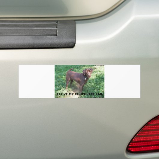LR chocoladelab-liefde voor afbeelding Bumpersticker (Op auto)