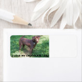 LR chocoladelab-liefde voor afbeelding Etiket (Insitu)