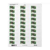 LR chocoladelab-liefde voor afbeelding Etiket (Full Sheet)