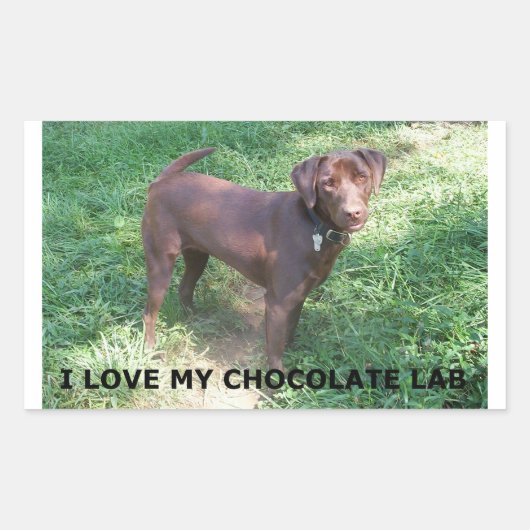 LR chocoladelab-liefde voor afbeelding Rechthoekige Sticker (Voorkant)
