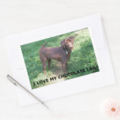 LR chocoladelab-liefde voor afbeelding Rechthoekige Sticker (Envelop)