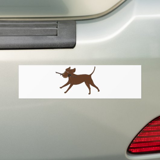 LR chocoladelab met stok Bumpersticker (Op auto)