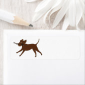 LR chocoladelab met stok Etiket (Insitu)