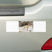 LR geel, vol Bumpersticker (Op auto)