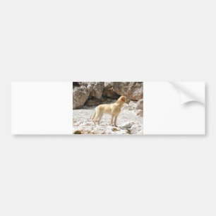 LR geel, vol Bumpersticker
