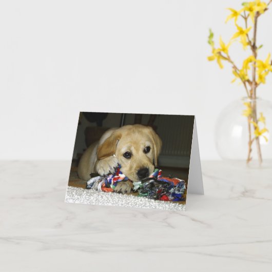 LR gele lab pup met speelgoed Kaart (Gele Bloem)