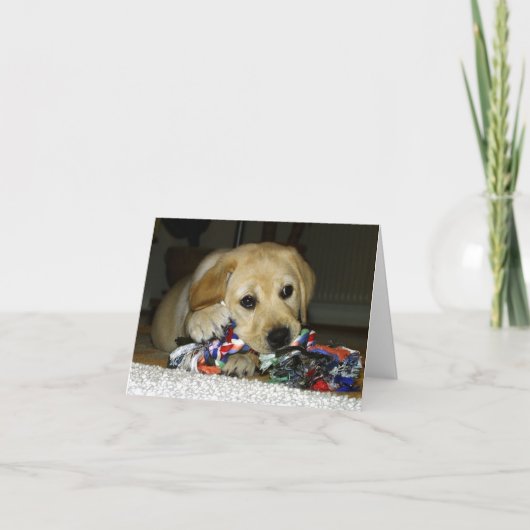 LR gele lab pup met speelgoed Kaart (Voorkant)