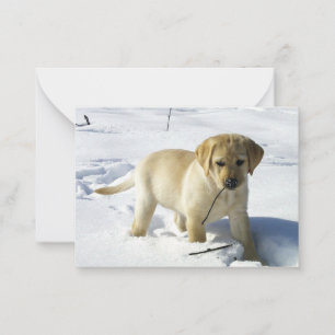 LR gele lab puppy in sneeuw Notitiekaartje