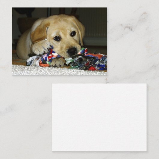 LR gele lab puppy met speelgoed Notitiekaartje (Voorkant / Achterkant)