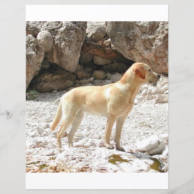 LR gele lab vol (Voorkant)