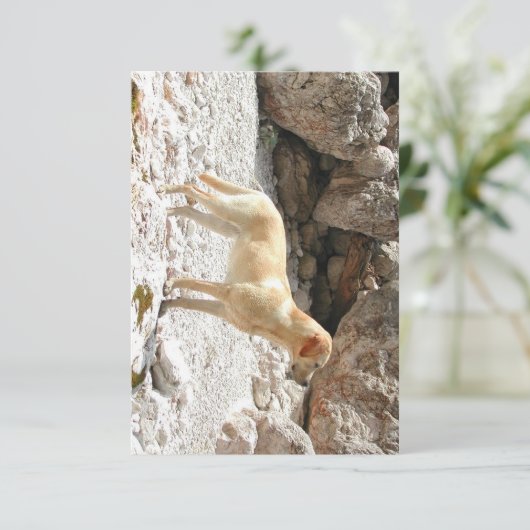 LR gele lab vol Bedankkaart (Staand voorkant)