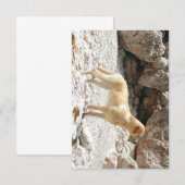 LR gele lab vol Bedankkaart (Voorkant / Achterkant)