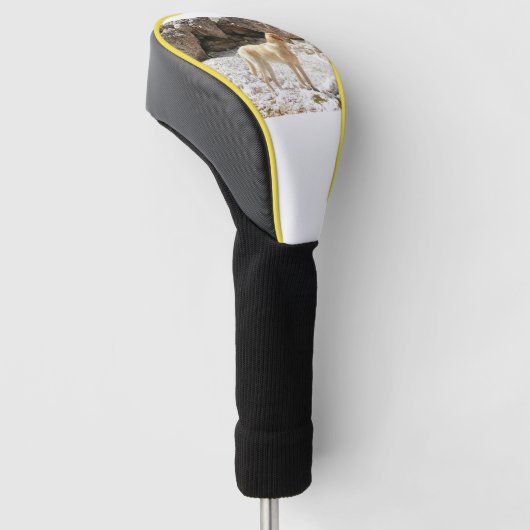 LR gele lab vol Golfheadcover (Schuin)