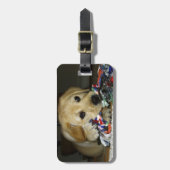 LR gele laboratoriumpupil met speelgoed Bagagelabel (Voorkant verticaal)