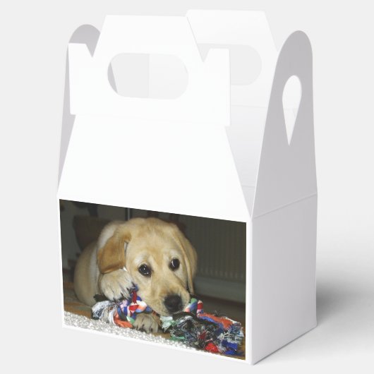 LR gele laboratoriumpupil met speelgoed Bedankdoosjes (Geopend)