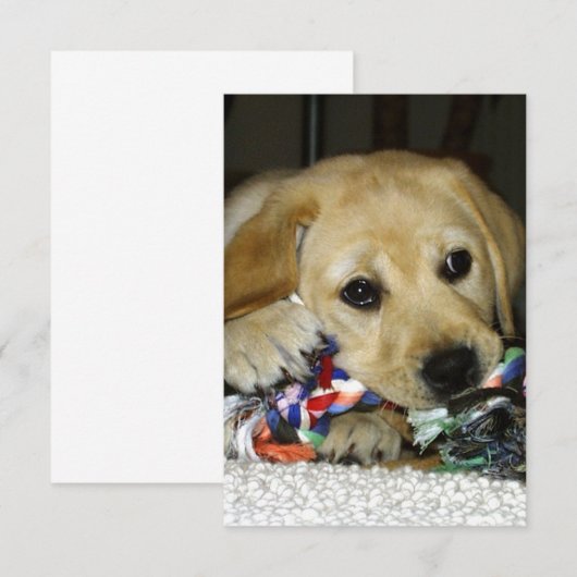 LR gele laboratoriumpupil met speelgoed Bedankkaart (Voorkant / Achterkant)