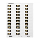 LR gele laboratoriumpupil met speelgoed Etiket (Full Sheet)