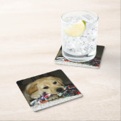 LR gele laboratoriumpupil met speelgoed Kartonnen Onderzetters (Insitu)