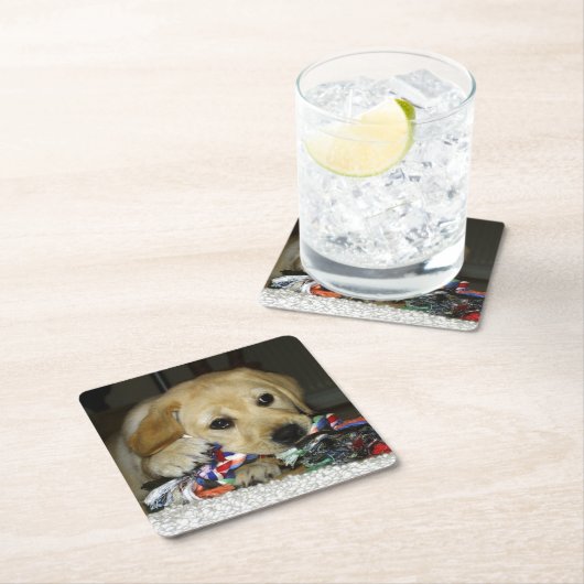 LR gele laboratoriumpupil met speelgoed Kartonnen Onderzetters (Insitu)