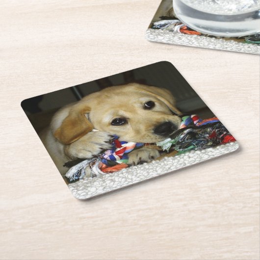 LR gele laboratoriumpupil met speelgoed Kartonnen Onderzetters (Schuin)