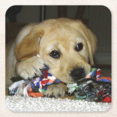 LR gele laboratoriumpupil met speelgoed Kartonnen Onderzetters (Voorkant)