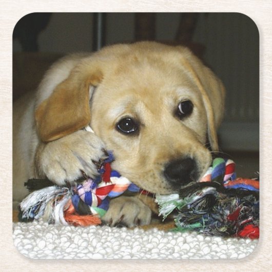 LR gele laboratoriumpupil met speelgoed Kartonnen Onderzetters (Voorkant)