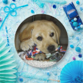 LR gele laboratoriumpupil met speelgoed Papieren Bordje (Feest)