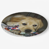 LR gele laboratoriumpupil met speelgoed Papieren Bordje (Gekanteld)