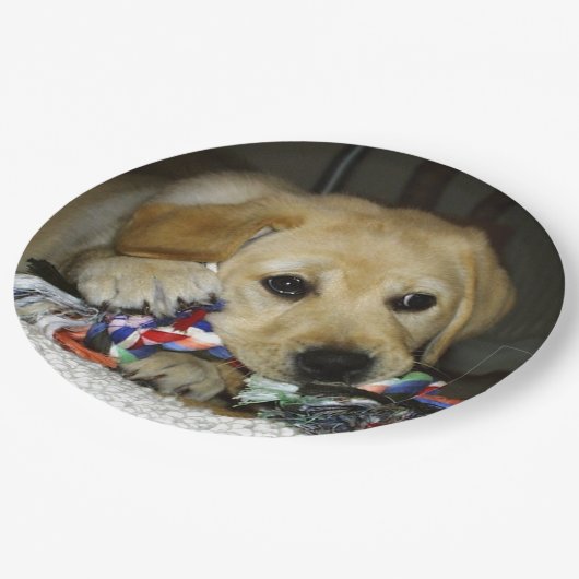 LR gele laboratoriumpupil met speelgoed Papieren Bordje (Gekanteld)