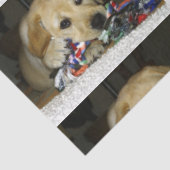 LR gele laboratoriumpupil met speelgoed Tissuepapier (Detail)