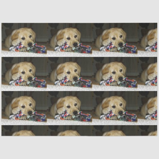 LR gele laboratoriumpupil met speelgoed Tissuepapier (Voorkant)