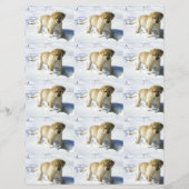 LR gele labpupil in sneeuw (Voorkant)