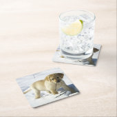 LR gele labpupil in sneeuw Kartonnen Onderzetters (Insitu)