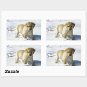 LR gele labpupil in sneeuw Rechthoekige Sticker (Vel)