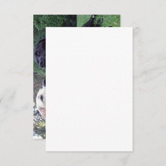 LR I Love My Labs with afbeelding Bedankkaart (Voorkant / Achterkant)