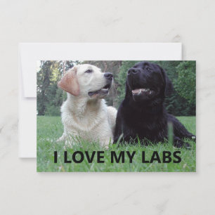 LR I Love My Labs with afbeelding Bedankkaart