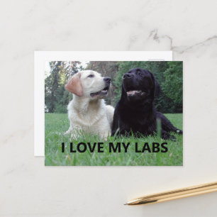 LR I Love My Labs with afbeelding Briefkaart