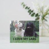 LR I Love My Labs with afbeelding Briefkaart (Staand voorkant)