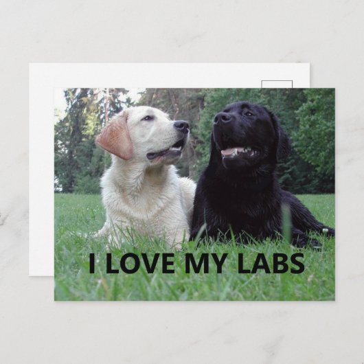LR I Love My Labs with afbeelding Briefkaart (Voorkant / Achterkant)