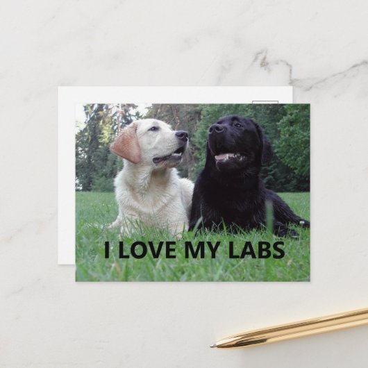 LR I Love My Labs with afbeelding Briefkaart (Voorkant / Achterkant in situ)