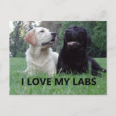 LR I Love My Labs with afbeelding Briefkaart (Voorkant)