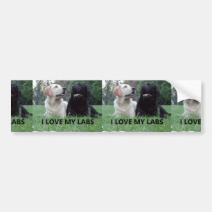 LR I Love My Labs with Afbeelding Bumpersticker