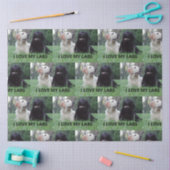 LR I Love My Labs with afbeelding Tissuepapier (Craft)