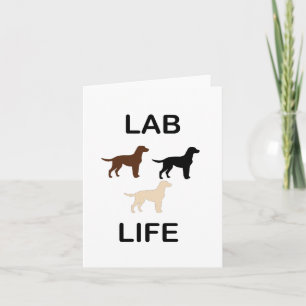 LR lab leven alle kleuren silhouetten Kaart