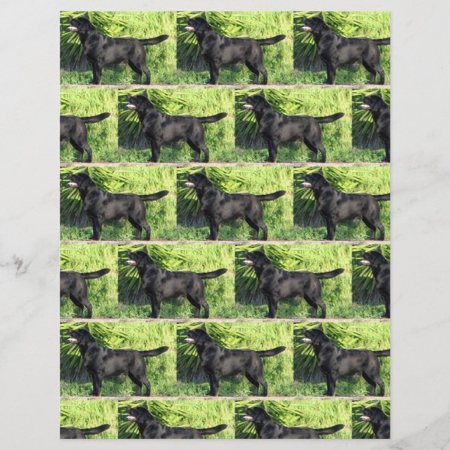 LR zwart lab vol (Voorkant)